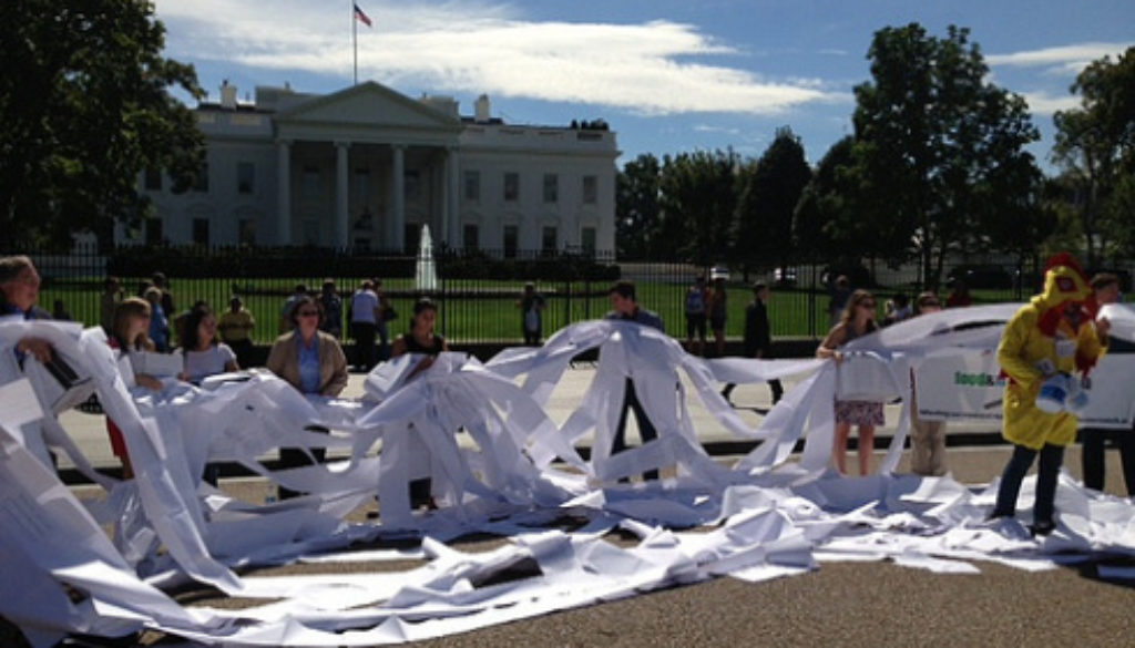 poultry protest white house crowd