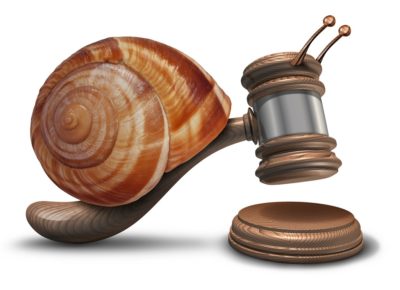 Snail Justice small delay gavel law