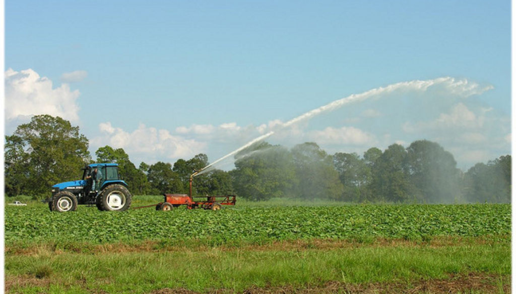 Tractor in Field farm spray pesticide