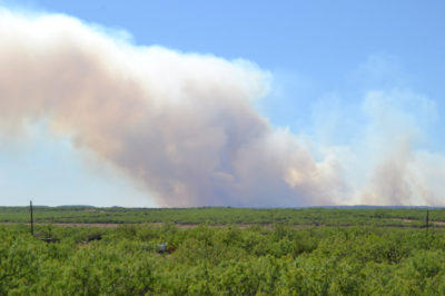 land fire field wildfire burning environment environmental impact smoke flame destroyed