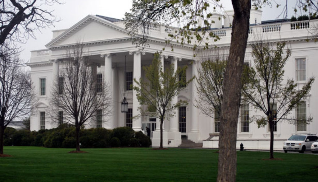 white house presdent north lawn america tree washington united states