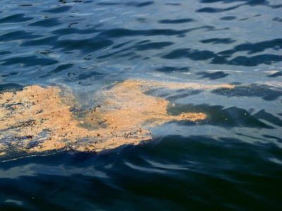 oil slick pollution drilling spill dangerous toxic harmful