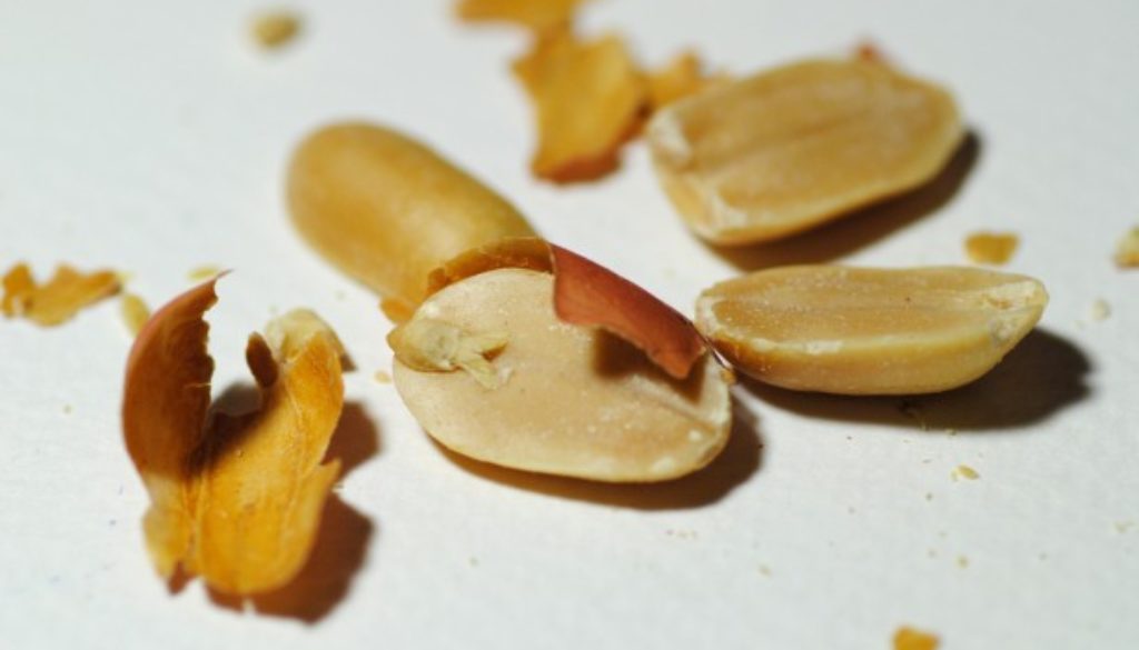peanut shelled cracked nut allergy dangerous plant