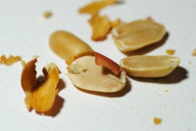 peanut shelled cracked nut allergy dangerous plant