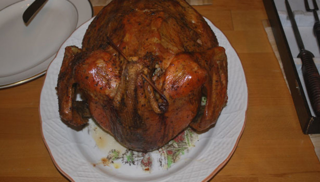 turkey dinner turkey thanksgiving bird poultry holiday wild feathers america pardon cooked eat food dinner