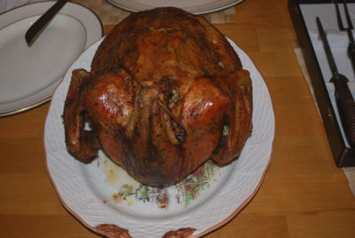 turkey dinner turkey thanksgiving bird poultry holiday wild feathers america pardon cooked eat food dinner